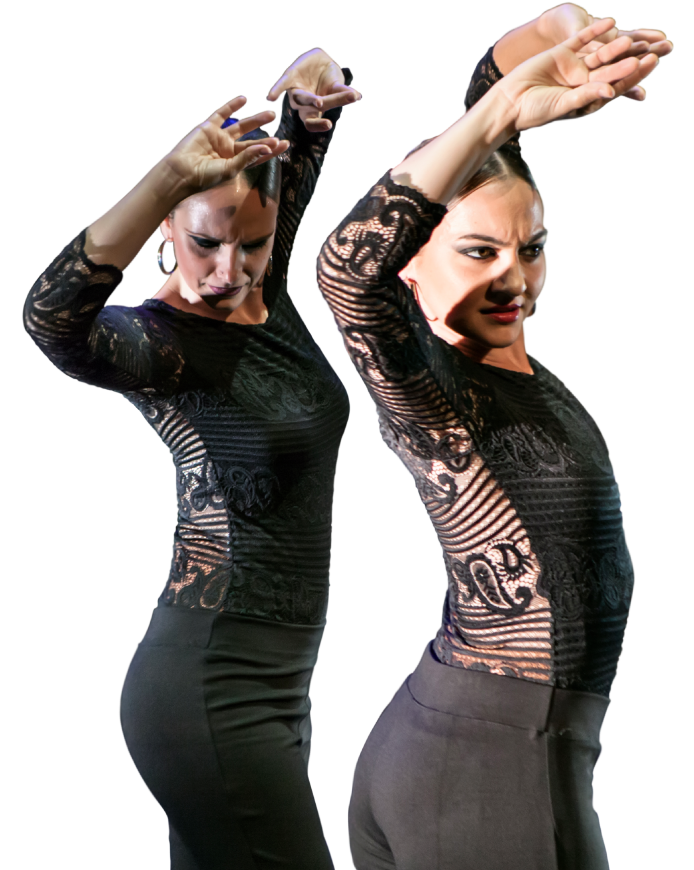 Clases de Flamenco