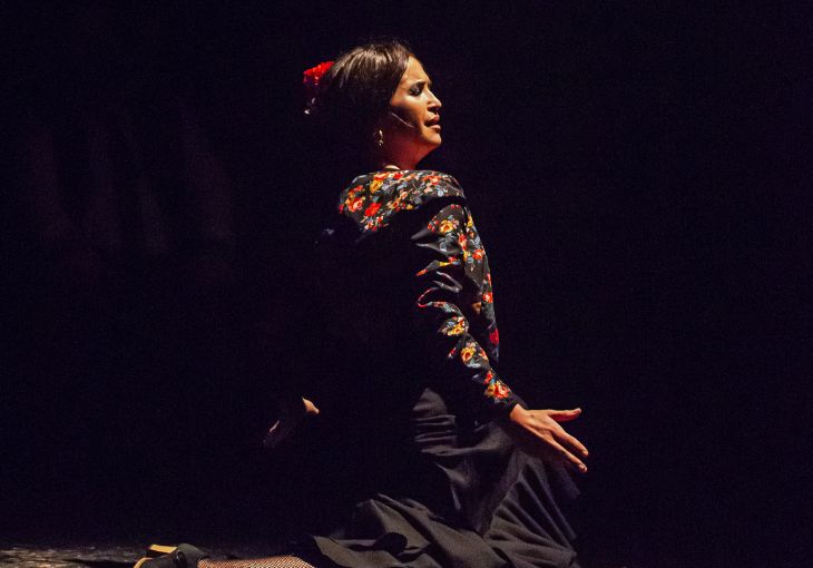 Imagen principal del artículo Cómo leer una letra flamenca: símbolos, metáforas y poesía del cante