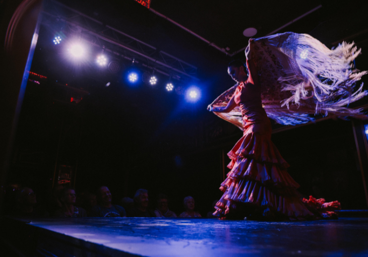 Imagen principal del artículo Detrás del telón: una mirada íntima al Teatro Flamenco Granada