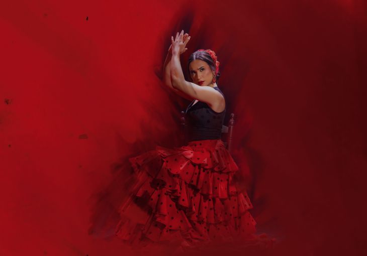 Imagen principal del artículo Espectáculo flamenco + Mujer Flamenca en Teatro Flamenco Granada