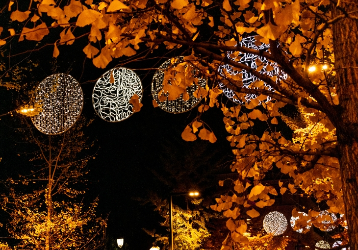 Imagen principal del artículo La Navidad llega a Teatro Flamenco Granada: arte y tradición en diciembre