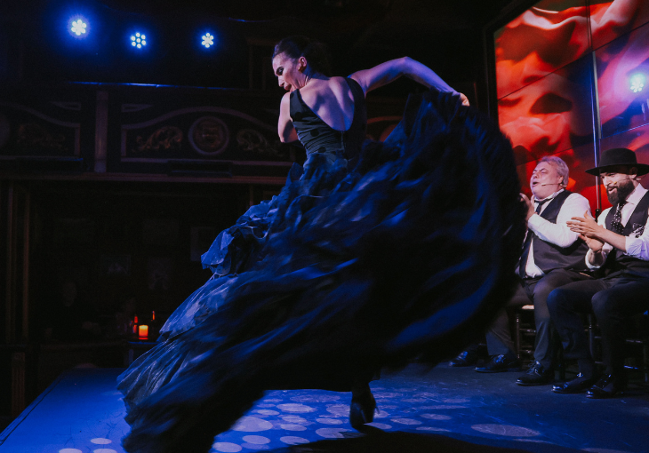 Imagen principal del artículo Redes sociales y flamenco: cómo las plataformas conectan el arte