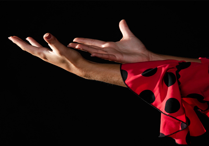 Imagen principal del artículo Resurgir del Flamenco ¿que significa esta nueva era?