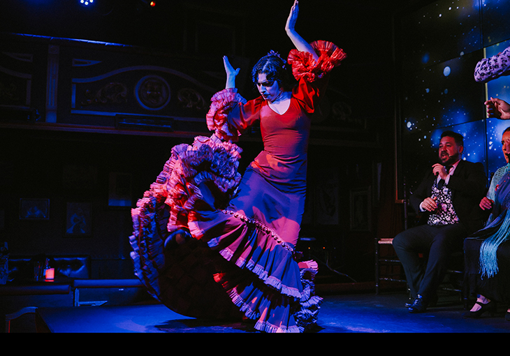 Imagen principal del artículo Vive San Valentín en Teatro Flamenco Granada